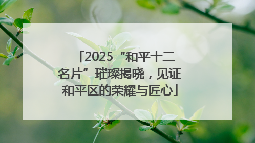 2025“和平十二名片”璀璨揭晓，见证和平区的荣耀与匠心
