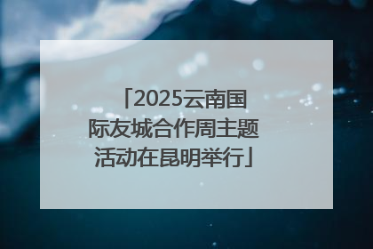 2025云南国际友城合作周主题活动在昆明举行