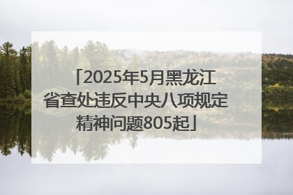 2025年5月黑龙江省查处违反中央八项规定精神问题805起