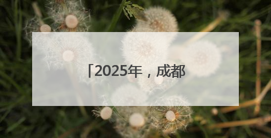 2025年，成都拓展家电线上“立买立减”渠道，开展蓉城家庭焕新行动