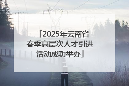 2025年云南省春季高层次人才引进活动成功举办