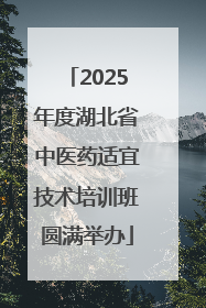 2025年度湖北省中医药适宜技术培训班圆满举办
