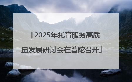 2025年托育服务高质量发展研讨会在普陀召开