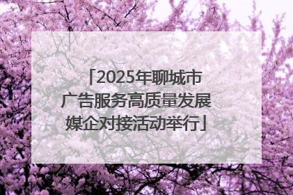 2025年聊城市广告服务高质量发展媒企对接活动举行