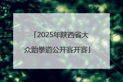 2025年陕西省大众跆拳道公开赛开赛