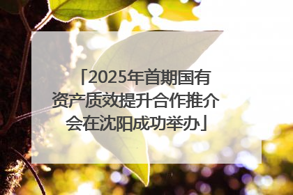 2025年首期国有资产质效提升合作推介会在沈阳成功举办