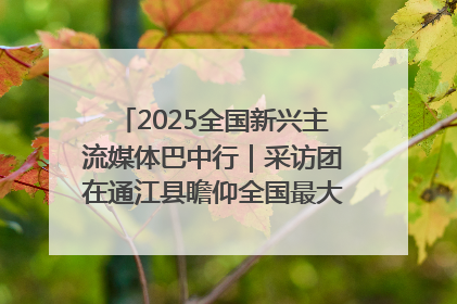 2025全国新兴主流媒体巴中行｜采访团在通江县瞻仰全国最大红军烈士陵园