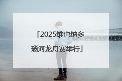 2025维也纳多瑙河龙舟赛举行