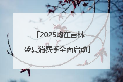 2025购在吉林·盛夏消费季全面启动