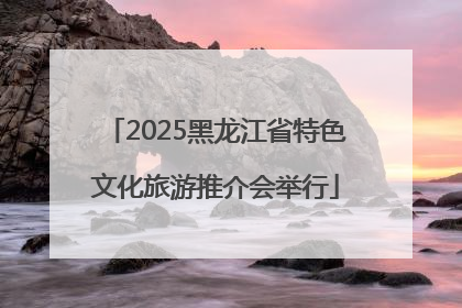 2025黑龙江省特色文化旅游推介会举行