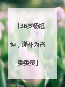 36岁杨旭恒，递补为省委委员