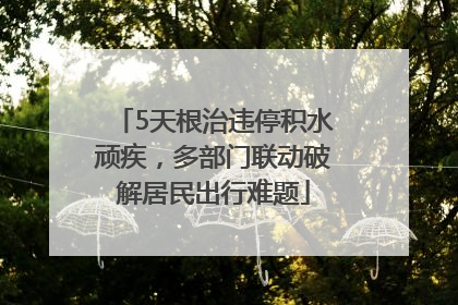 5天根治违停积水顽疾，多部门联动破解居民出行难题