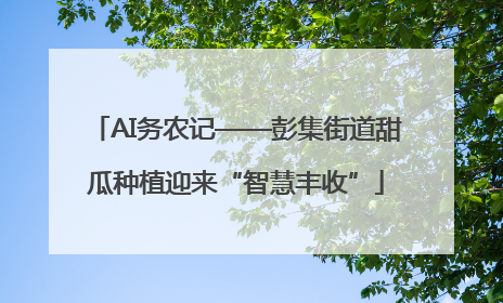 AI务农记——彭集街道甜瓜种植迎来“智慧丰收”