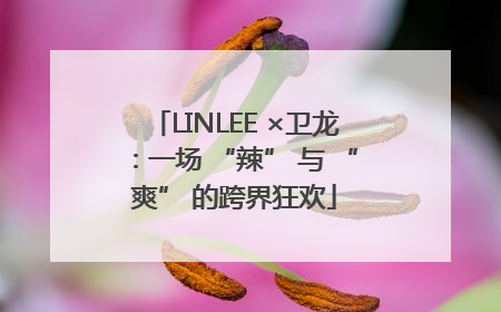 LINLEE ×卫龙：一场 “辣” 与 “爽” 的跨界狂欢
