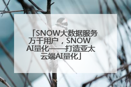 SNOW大数据服务万千用户，SNOW AI量化——打造亚太云端AI量化